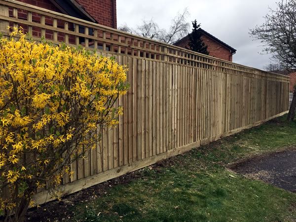 Trellis fencing in an Abingdon garden